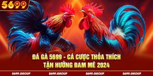 Đá Gà 5699 - Cá Cược Thỏa Thích Tận Hưởng Đam Mê 2024