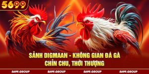 Sảnh Digmaan - Không Gian Đá Gà Chỉn Chu, Thời Thượng